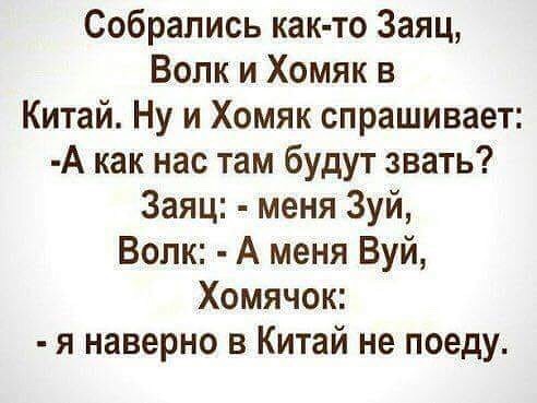 Анекдот про Вовочку и про то, что кое-кто точно будет выпорот