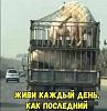 Щоб збільшити малюнок, клацніть по ньому
Назва:  IMG-05639dfc71ff1cc698af4daccc3a1c4b-V.jpg
Переглядів: 380
Розмір:  239,6 КБ
ID:	160441