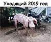 Щоб збільшити малюнок, клацніть по ньому
Назва:  IMG-f1a30113bb5f87c5e4e2c0f180cc82fb-V.jpg
Переглядів: 350
Розмір:  217,5 КБ
ID:	160564