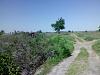 Щоб збільшити малюнок, клацніть по ньому
Назва:  IMG_20130509_102834_новый размер.jpg
Переглядів: 362
Розмір:  166,3 КБ
ID:	42661